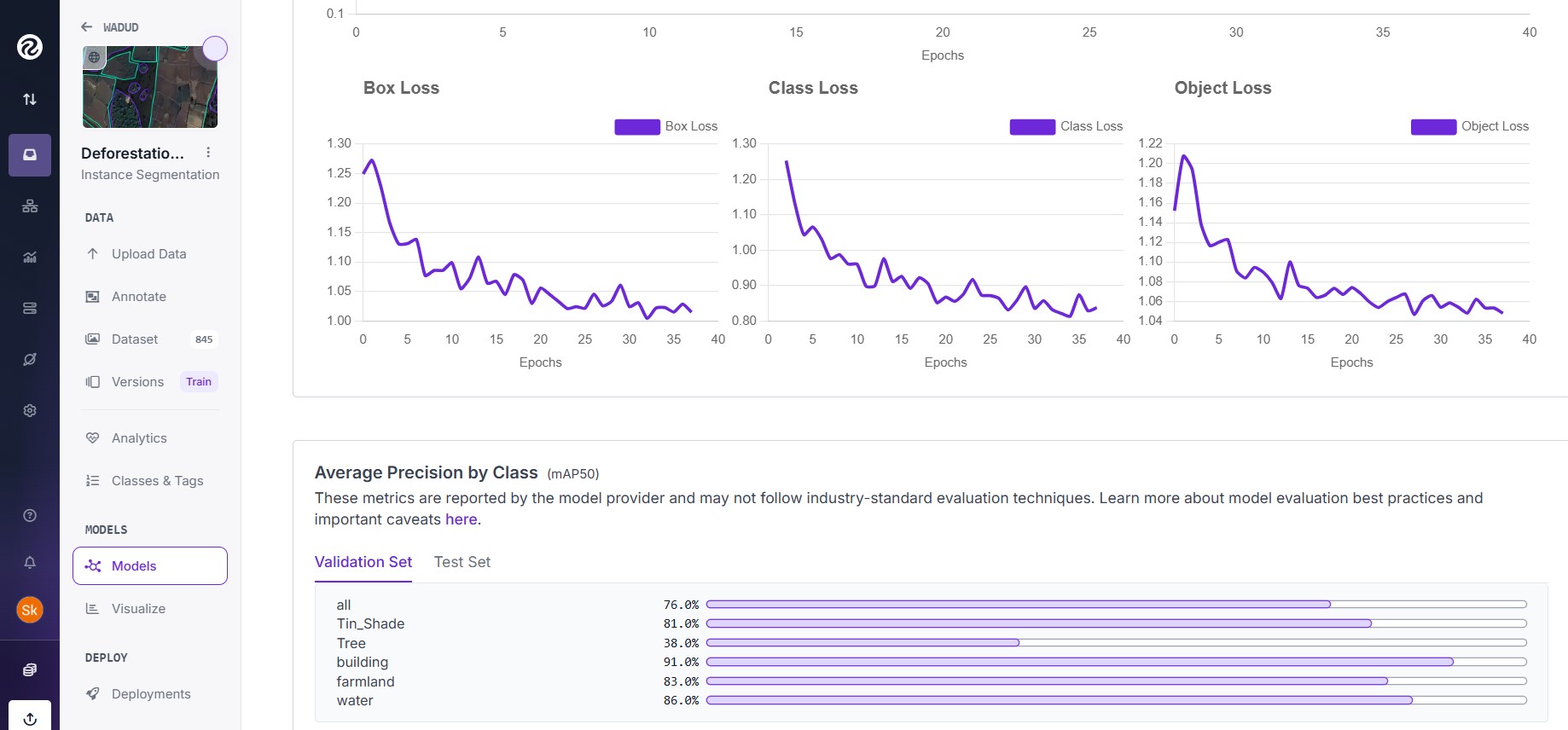 YOLOv11 forest monitoring map 3