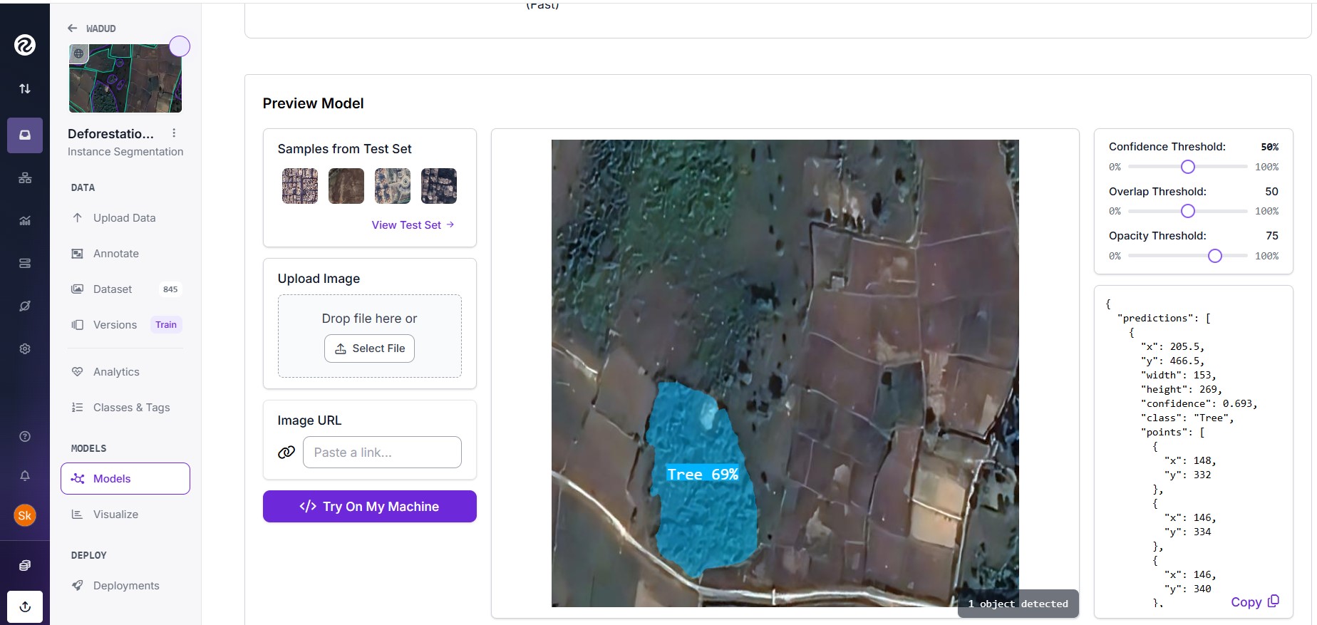 YOLOv11 deforestation model visualization 1